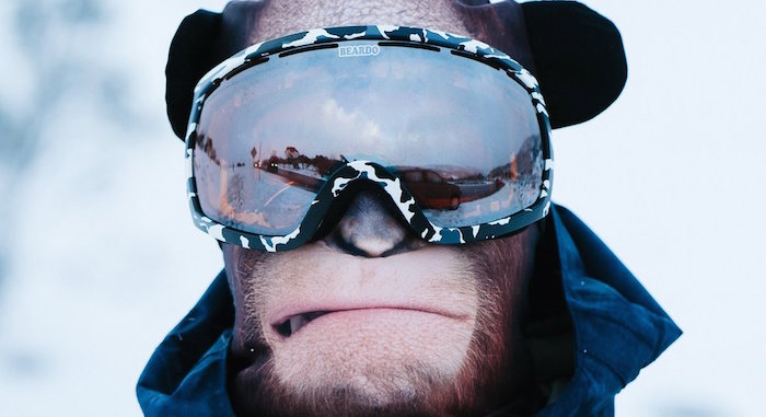 Orangutan skimasker